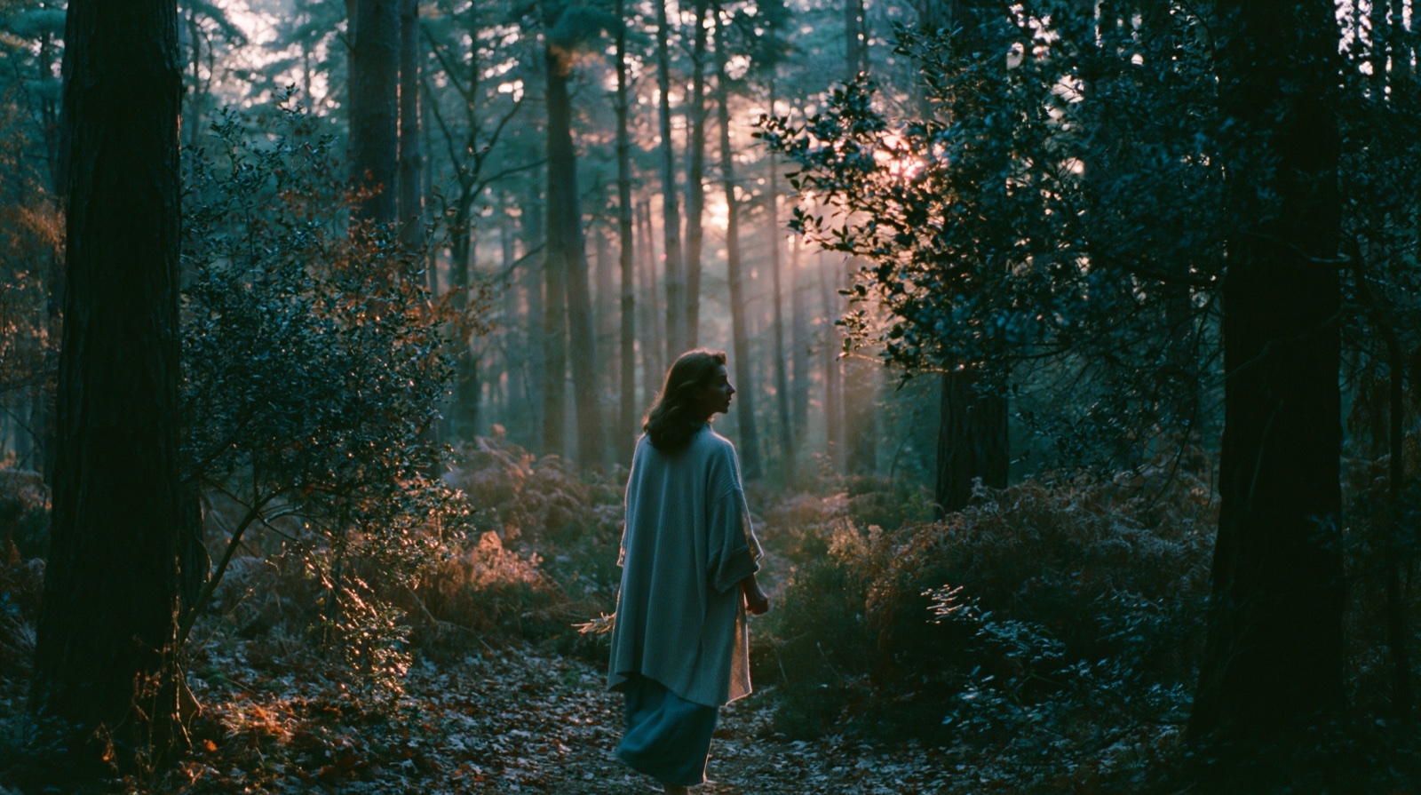 Ella walking through a misty forest toward the light at dawn